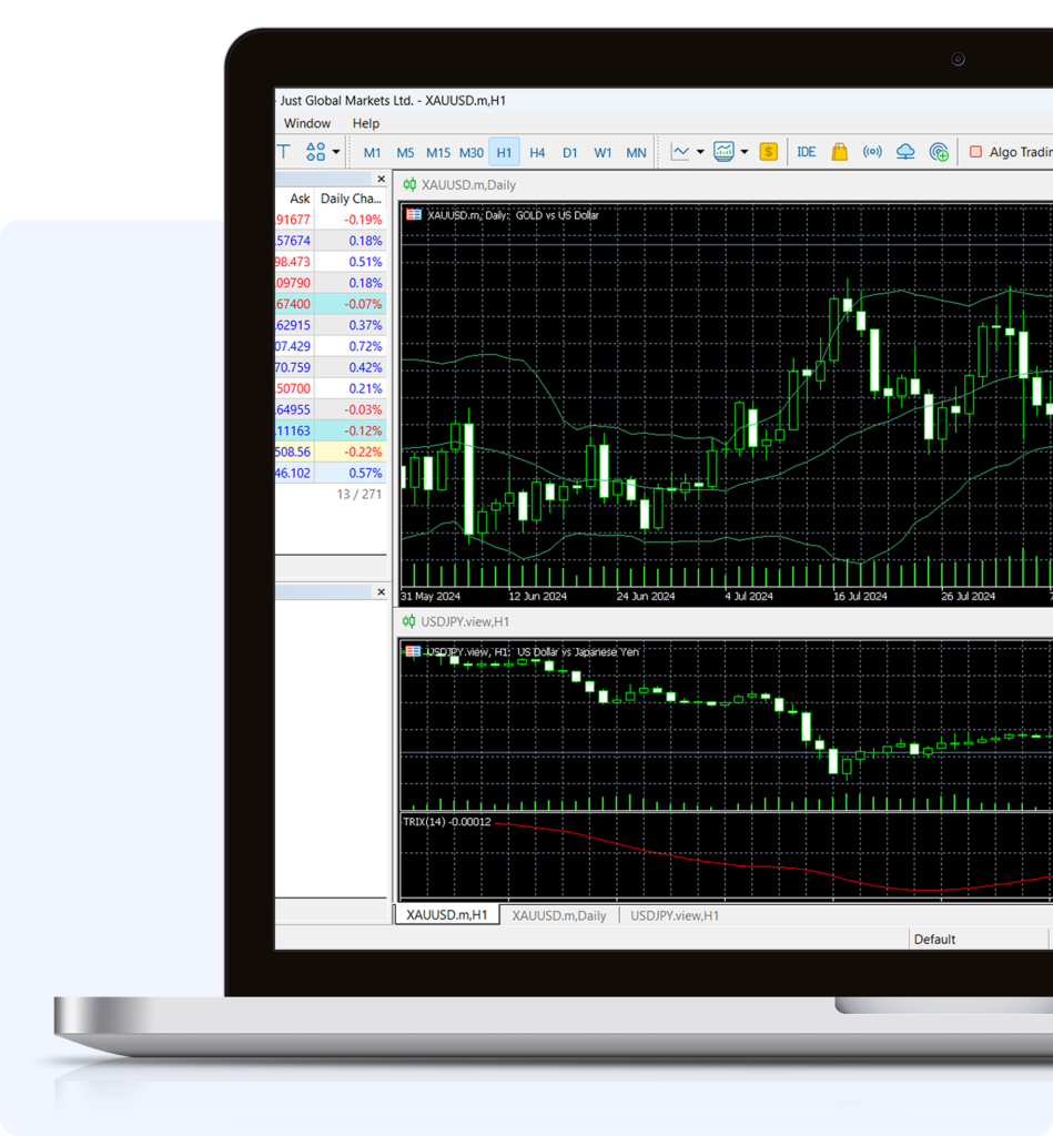 MT4 and MT5 platforms for PC
