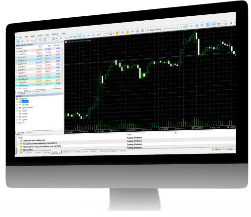 MetaTrader5 interface
